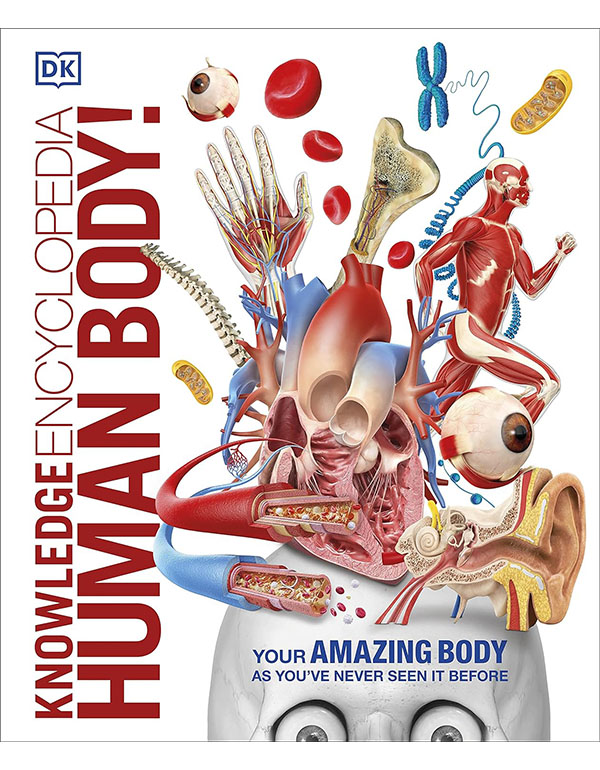Knowledge Encyclopedia Human Body!