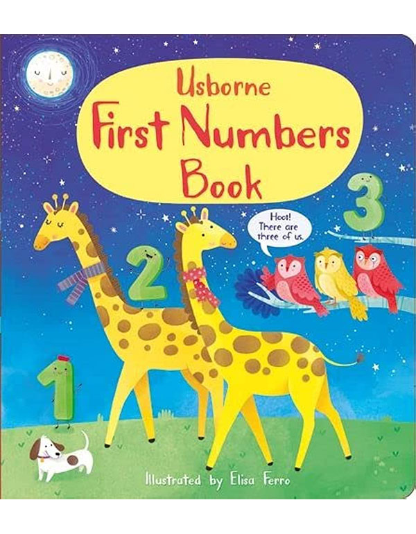 First Numbers Book