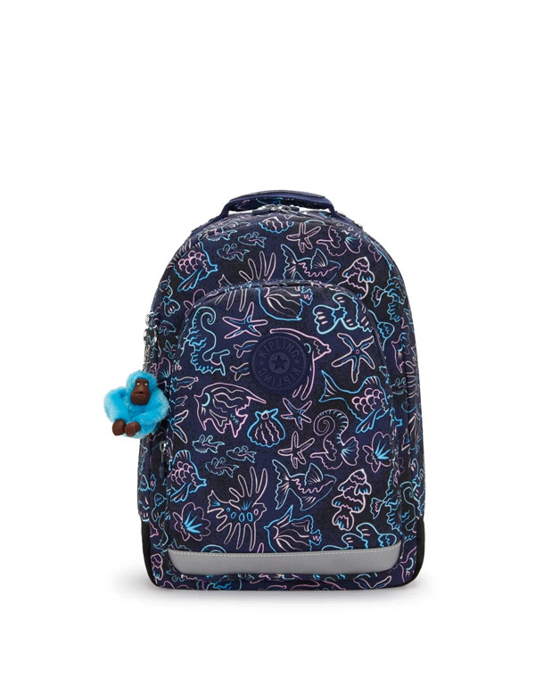 Kipling Classroom Disco Fish