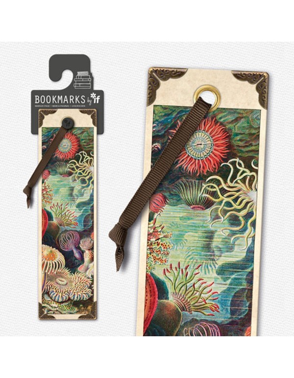 Vintage Bookmarks - Anemones