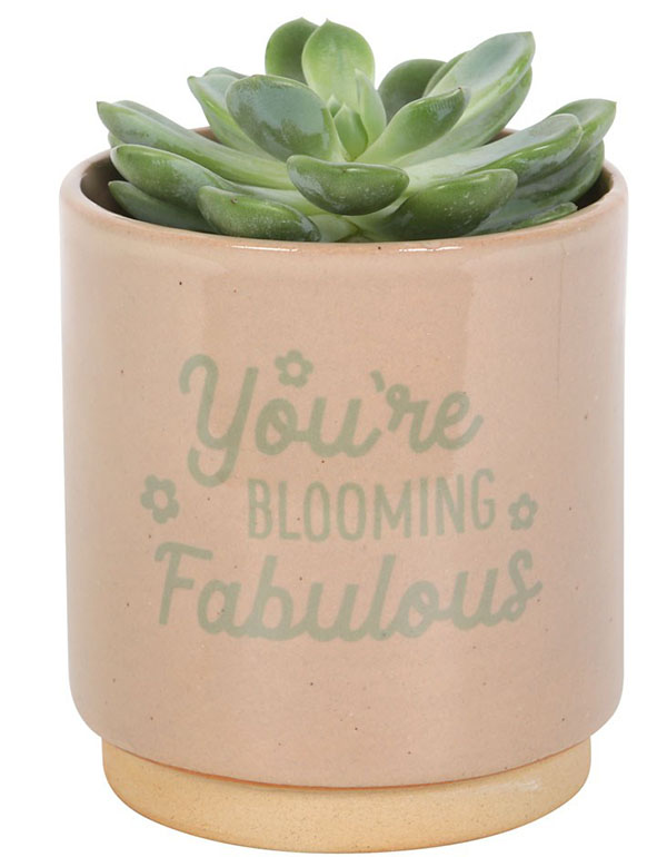 Cream Speckle Blooming Fabulous Plant Pot