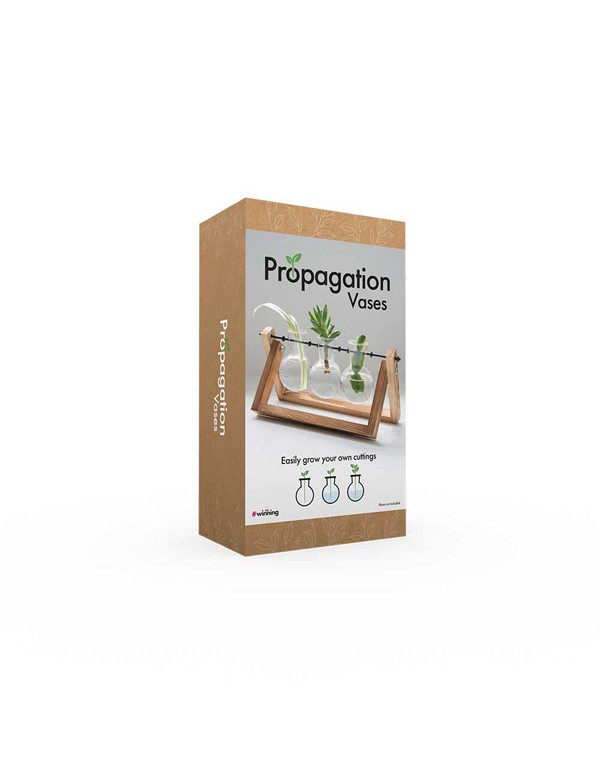 Propagation Vases