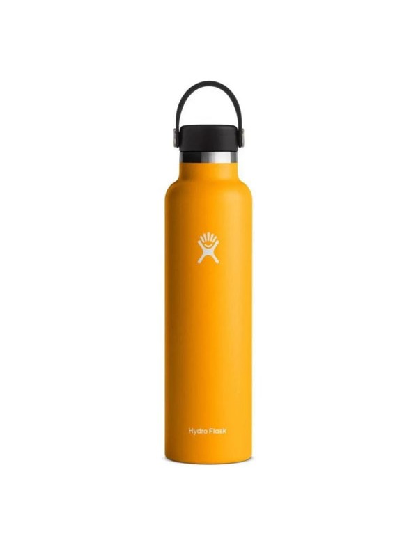Hydro Flask 24 Oz Standard Flex Cap Starfish