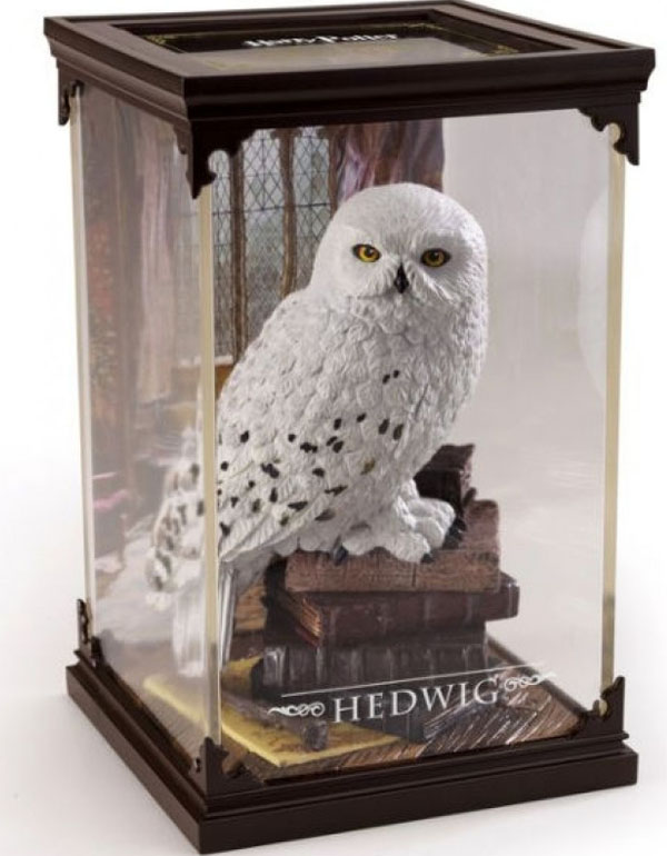 Harry Potter Hedwig Magical Creatures