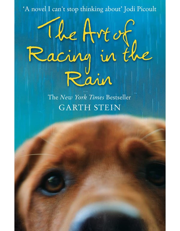 The Art of Racing in the Rain