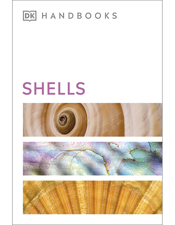 Shells