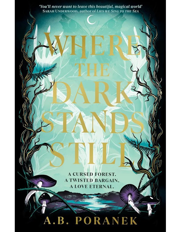 Where the Dark Stands Still