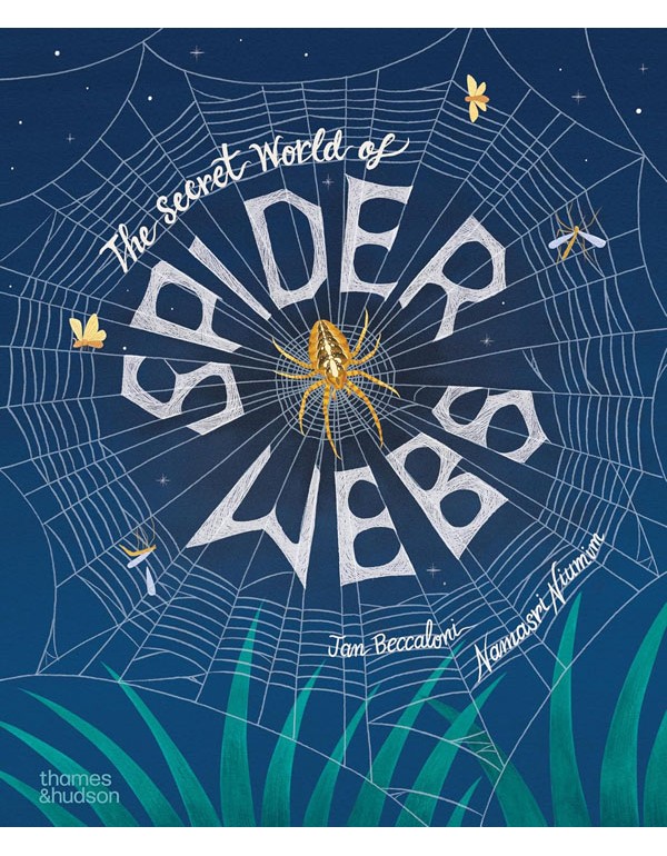 The Secret World of Spider Webs
