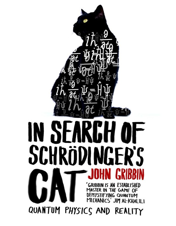 In Search Of Schrodinger's Cat