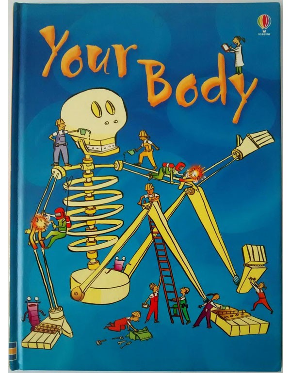 Your Body