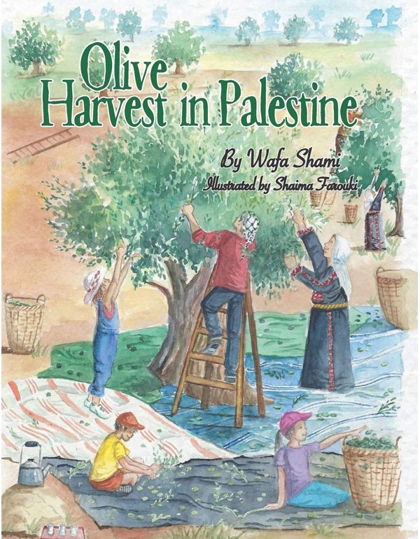 Olive Harvest In Palestine