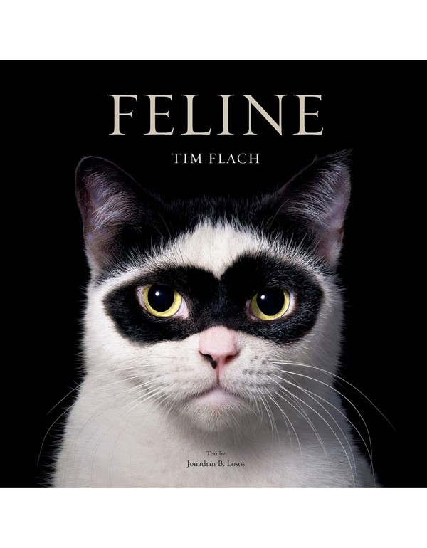Feline: Photographs