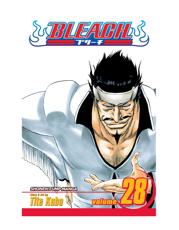 Bleach, Vol. 28