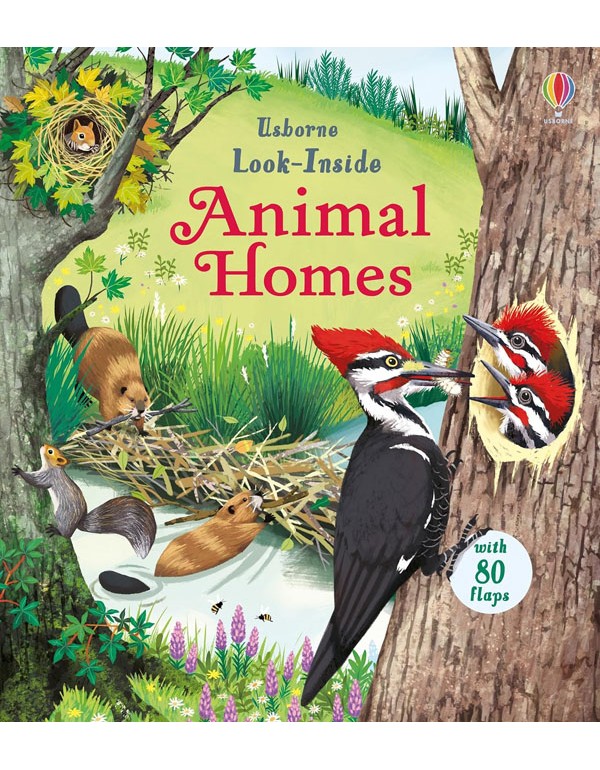 Look Inside Animal Homes