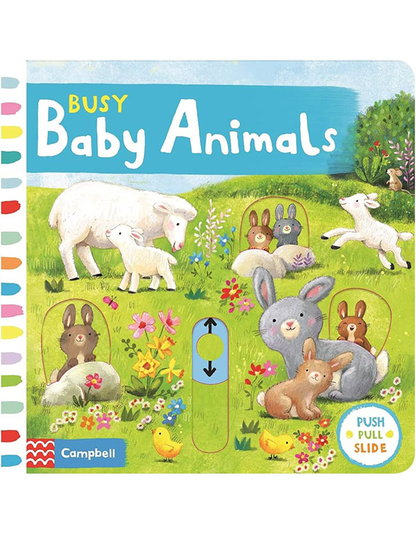 Busy Baby Animals