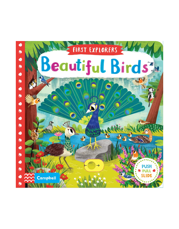 First Explorers: Beautiful Birds