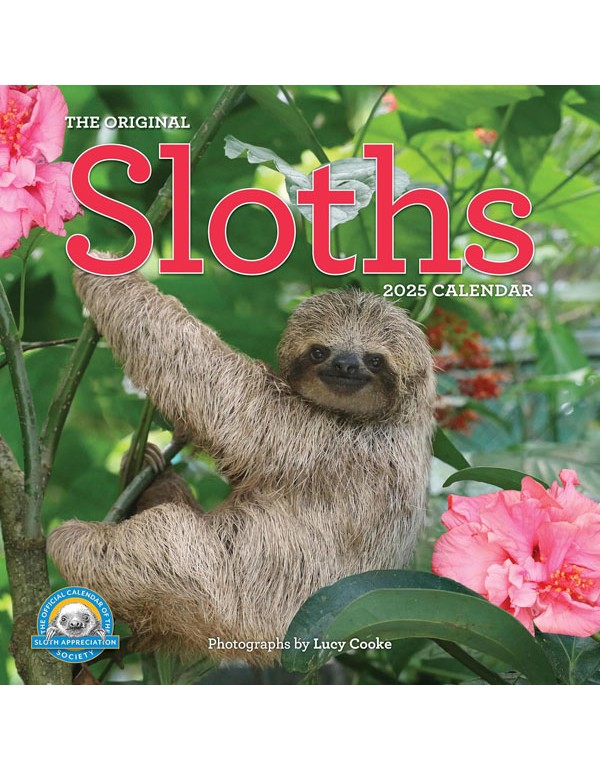 Original Sloths Wall Calendar 2025
