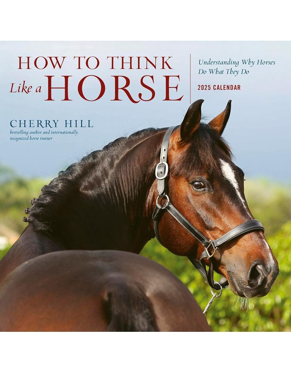 How to Think Like a Horse Wall Calendar 2025