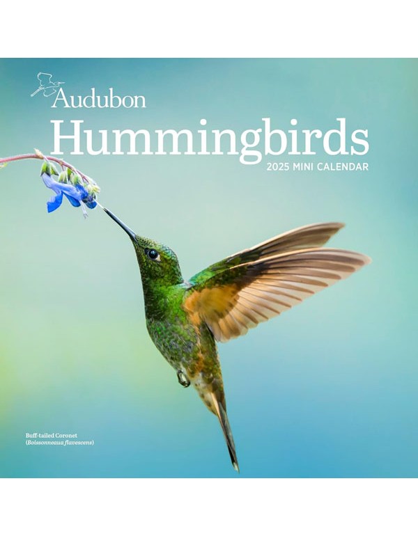 Audubon Hummingbirds Mini Wall Calendar 2025