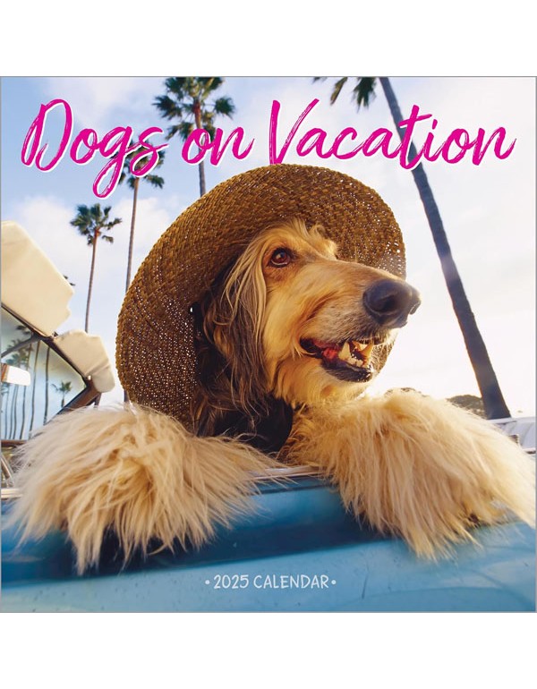 Dogs on Vacation Wall Calendar 2025