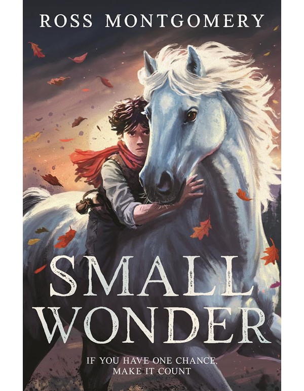 Small Wonder