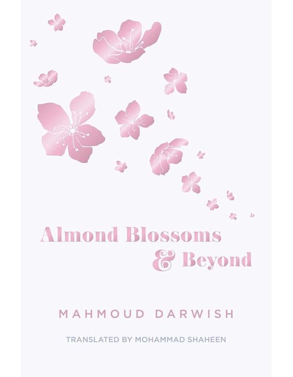 Almond Blossoms and Beyo