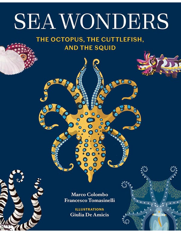 Sea Wonders: The Octopus, the Cuttlefish, and the Squid