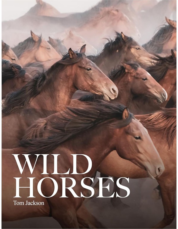 Wild Horses