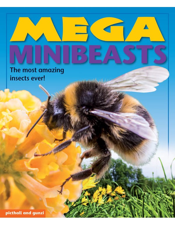 Mega Books: Minibeasts