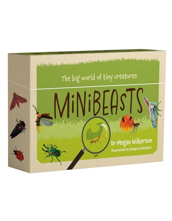Minibeasts: The big world of tiny creatures