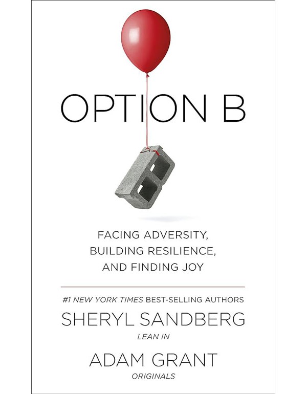 Option B
