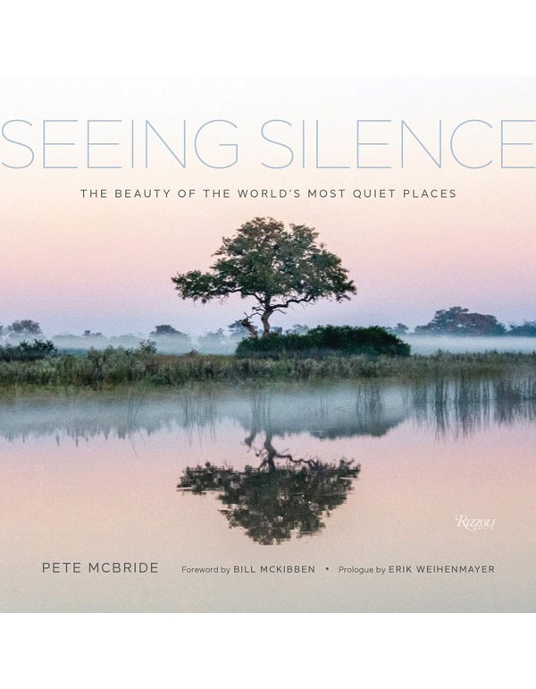 Seeing Silence