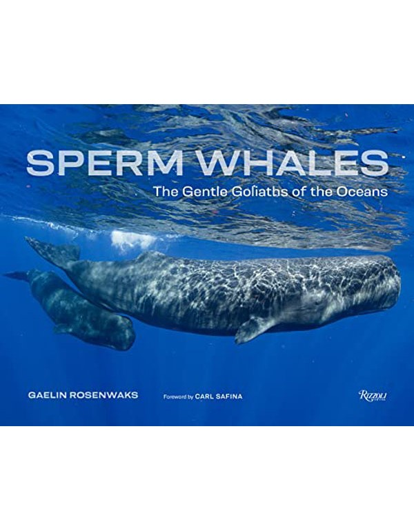 Sperm Whales