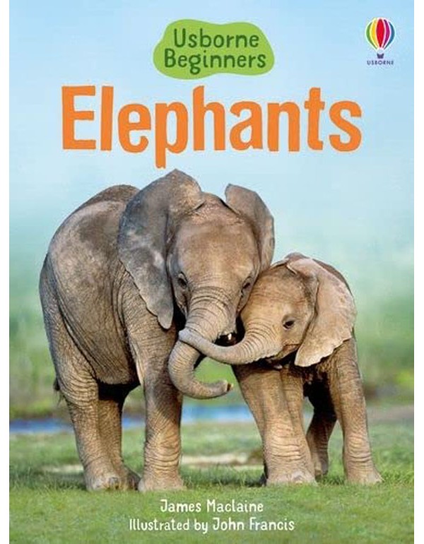 Elephants
