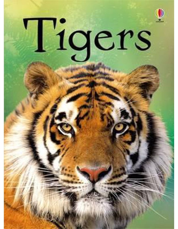 Tigers