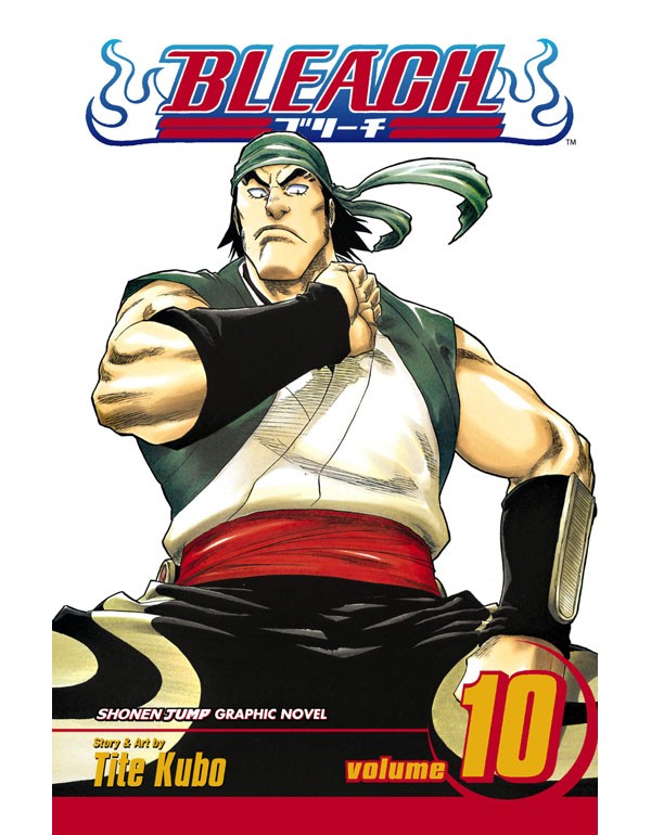 Bleach, Vol. 10: Tattoo On The Sky