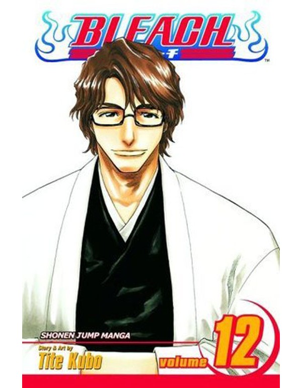 Bleach, Vol. 12