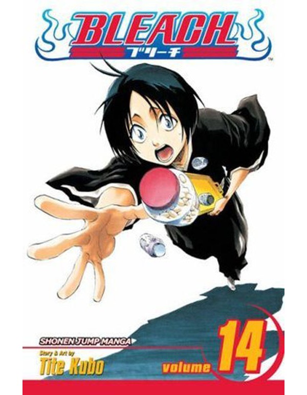 Bleach, Vol. 14