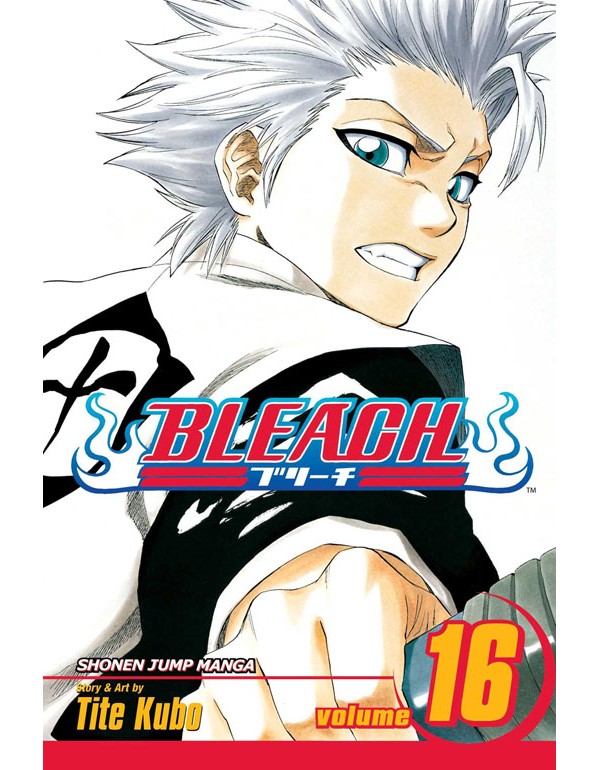 Bleach, Vol. 16: Knight Of Wijnruit
