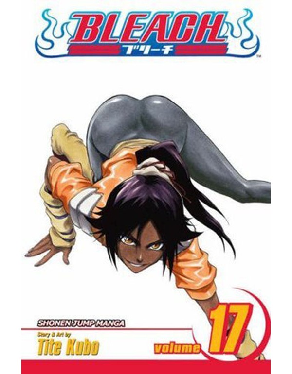 Bleach, Vol. 17