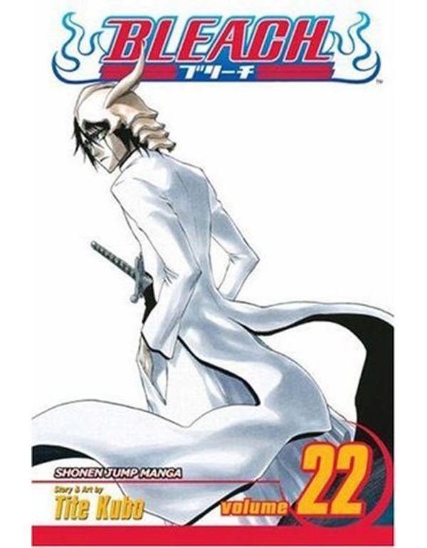 Bleach, Vol. 22