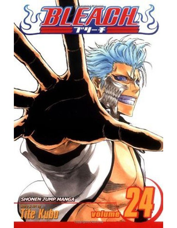 Bleach, Vol. 24