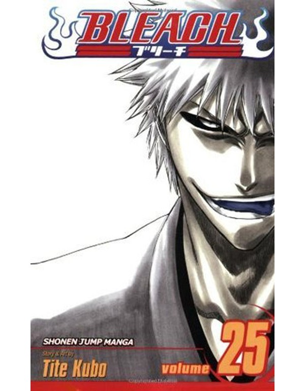 Bleach, Vol. 25