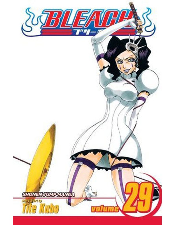 Bleach, Vol. 29