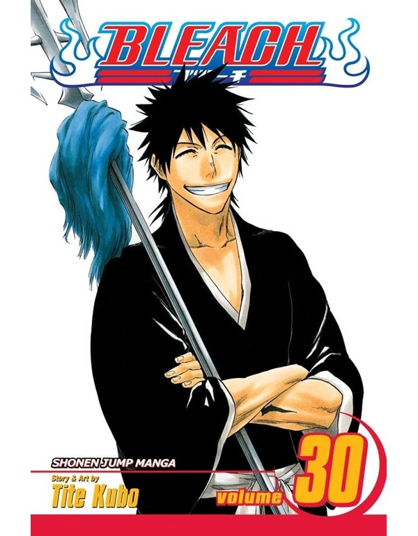 Bleach, Vol. 30