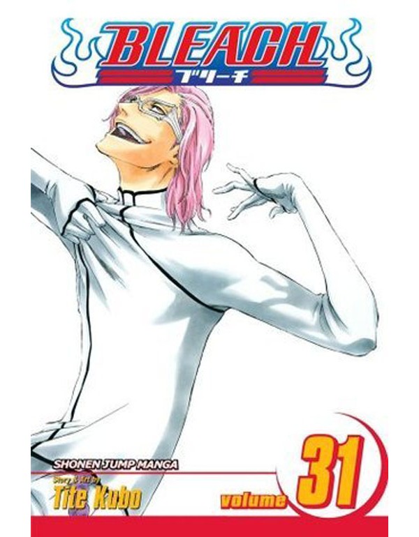 Bleach, Vol. 31