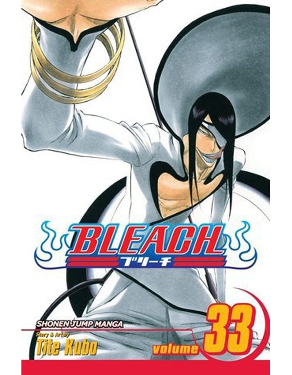 Bleach, Vol. 33