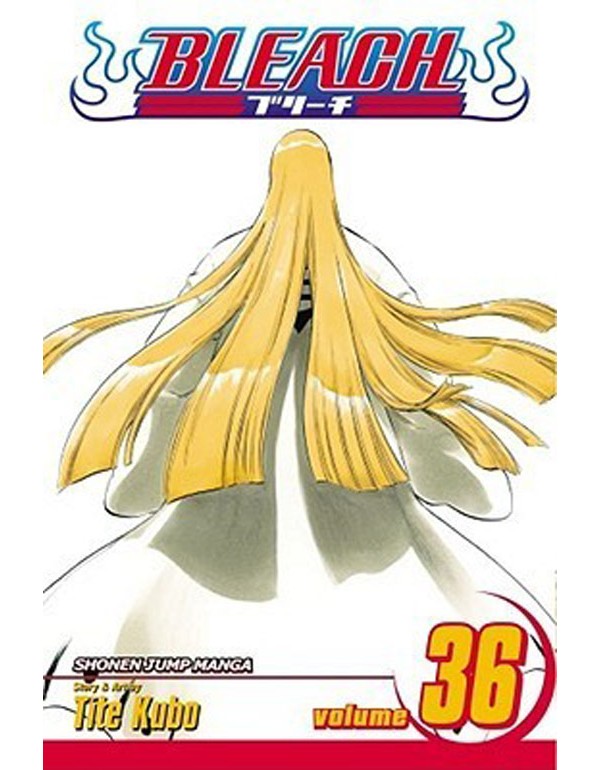 Bleach, Vol. 36