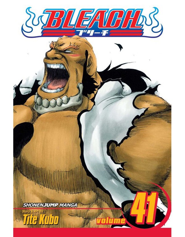 Bleach, Vol. 41