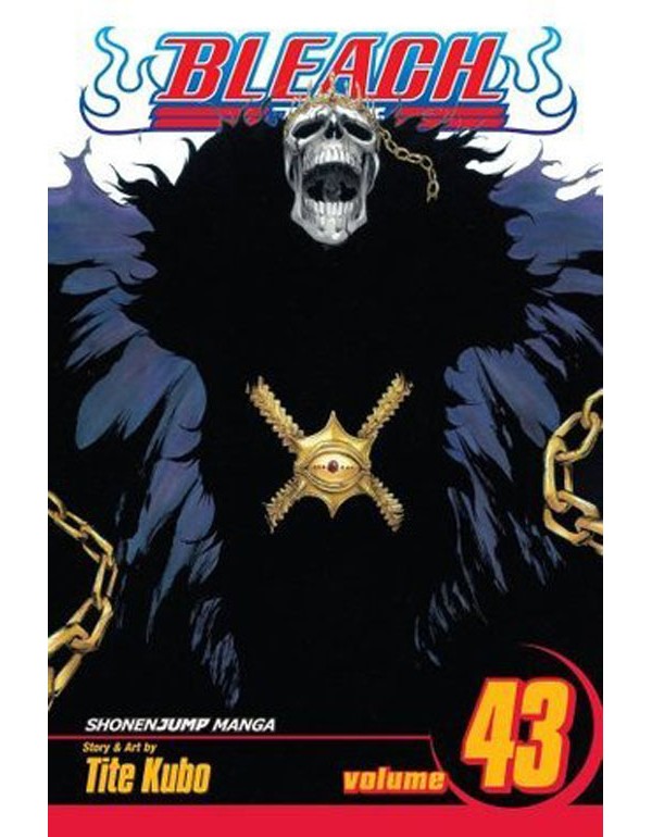 Bleach, Vol. 43